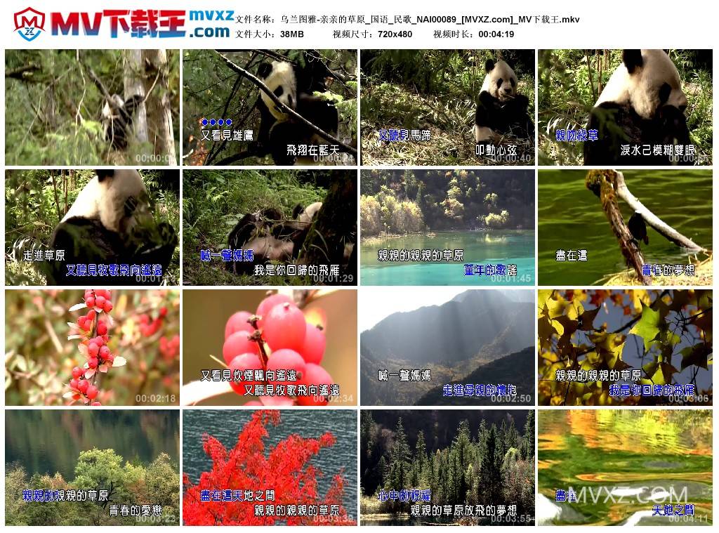 乌兰图雅-亲亲的草原_国语_民歌_NAI00089